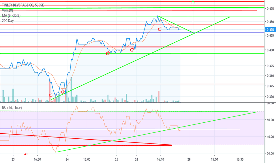 TNY same chart on a one day bull flag.