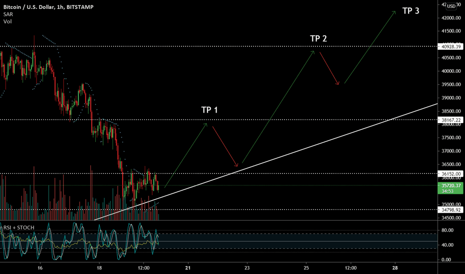 BTC Daily Trend