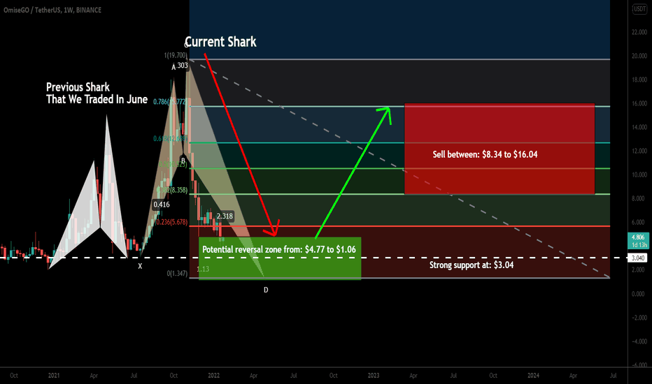 OMG Network (OMG) formed big Shark for upto 427% move