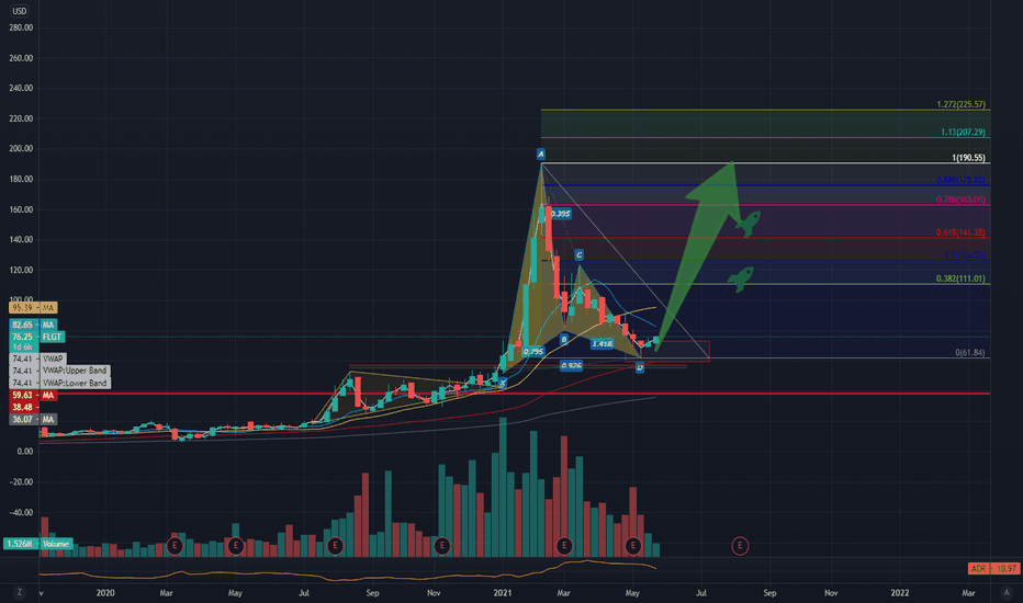 $FLGT From early entry 