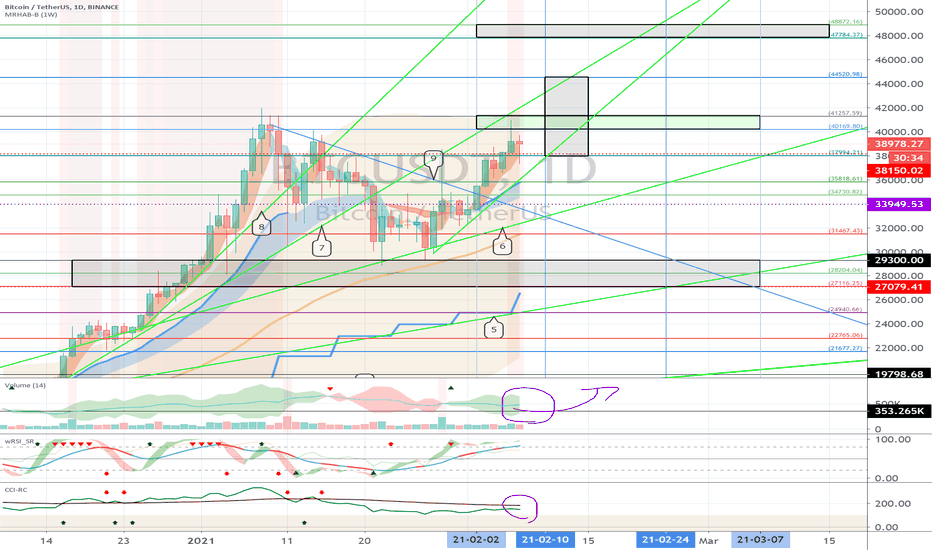 Bitcoin (BTC) - February 8 (USDT Dominance Check)