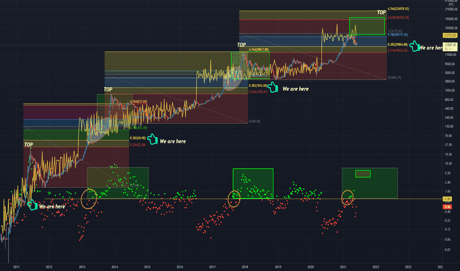 STock/Flow MODEL