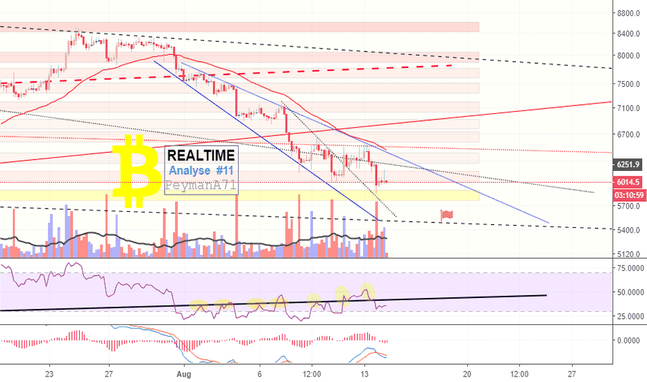 BTC Realtime Analyse #11