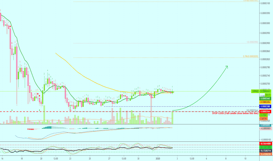 Ripple (XRPH20) Getting Ready | 8X Can Lead To 338%+