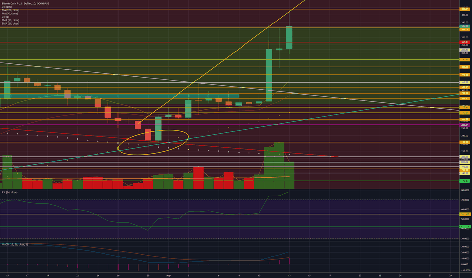 BCH 1D 5/13/19: Holy Volatility Bat Man