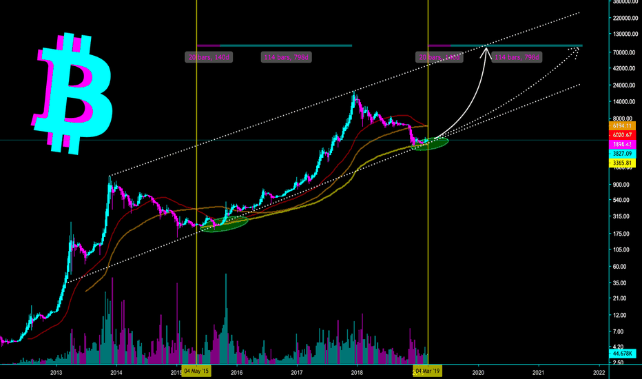 BITCOIN - TIMING THE NEXT BULL RUN TO $100,000 - CryptoManiac101