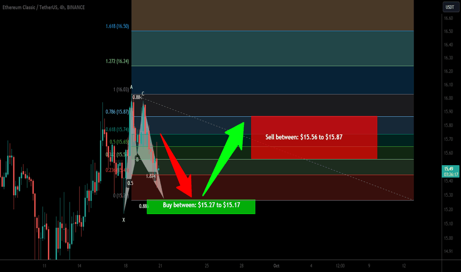 Ethereum Classic (ETC) forming bullish BAT for the next pump