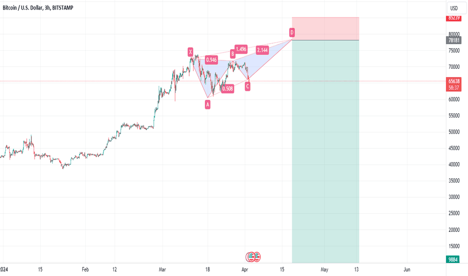 Harmonic Spike is a Risk for Bears Here.