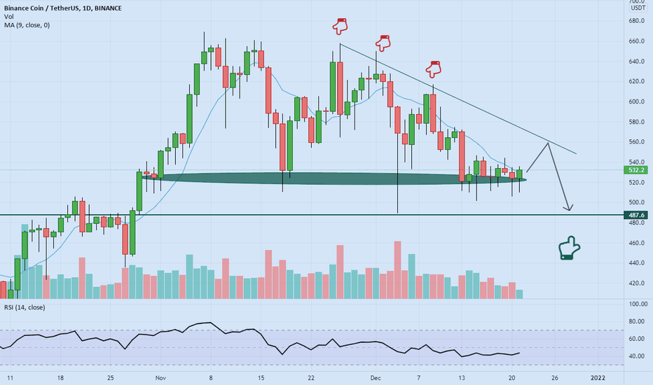 what is next for BNB ?