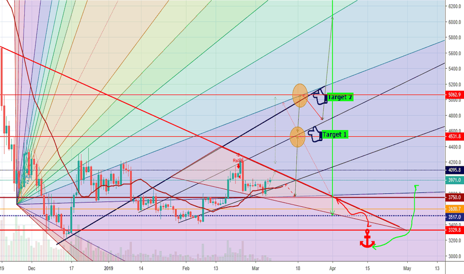 Bitcoin Bull run update 5.1