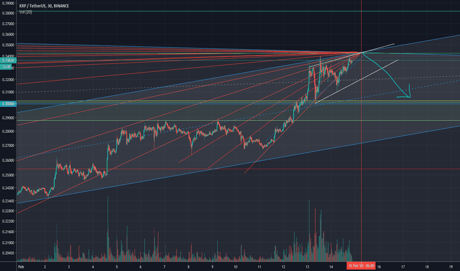 XRP USDT Rising Wedge Reversal Pattern