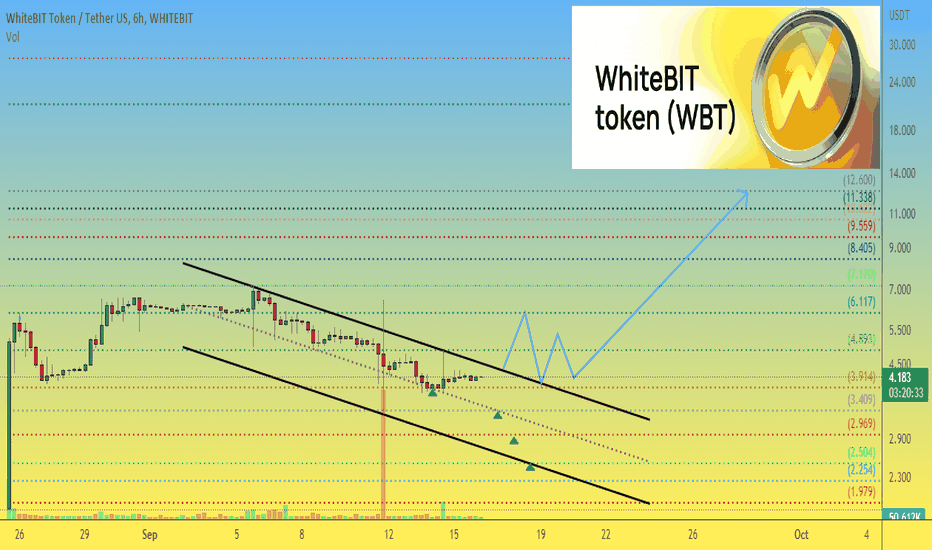 WBTUSDT 🔥Buy levels for promising WBT token with the goal x3-x4