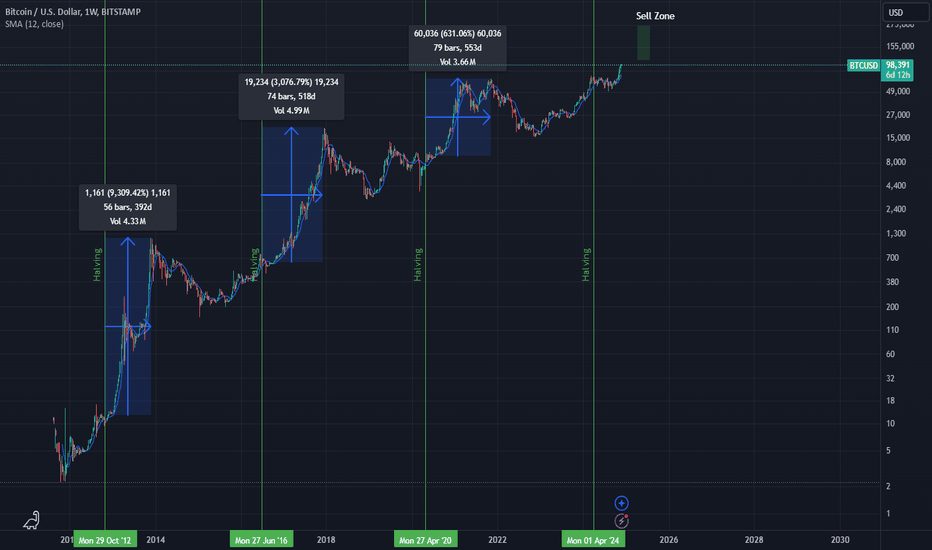 Bitcoin halving cycles