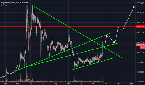 Dogecoin to sky rocket more ?