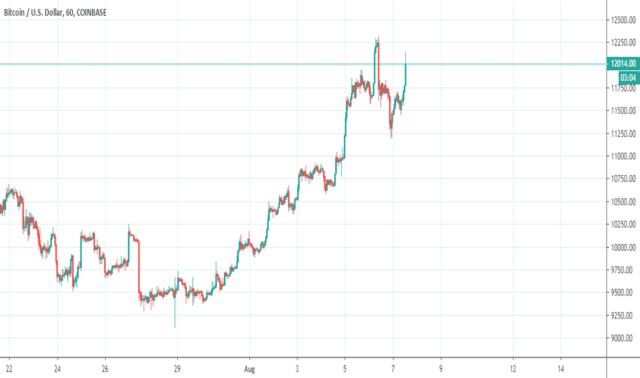 Bitcoin, Bonds, Gold and Stocks