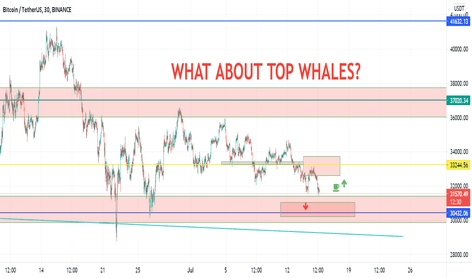 WILL THE TOP WHALES SAVE BTC THIS AREA TO INCREASE ZONE