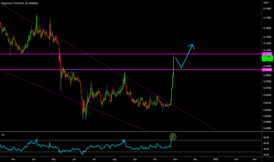 🔥 DOGE Massively Hyped: Caution Advised