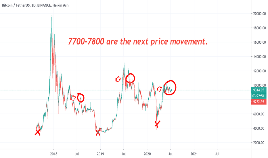 7700-7800 are the next price movement - whales data check!
