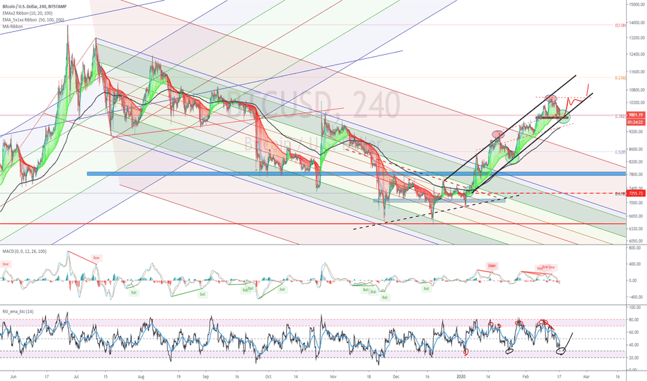 BTC (Y20.P2.E8).What Next?