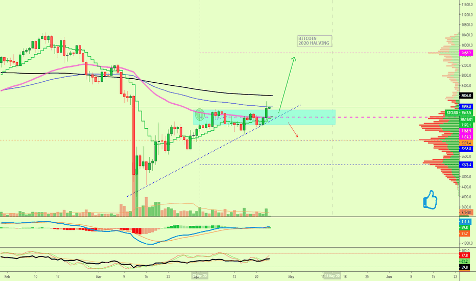 Altcoins Market Update (Altcoins vs Bitcoin)