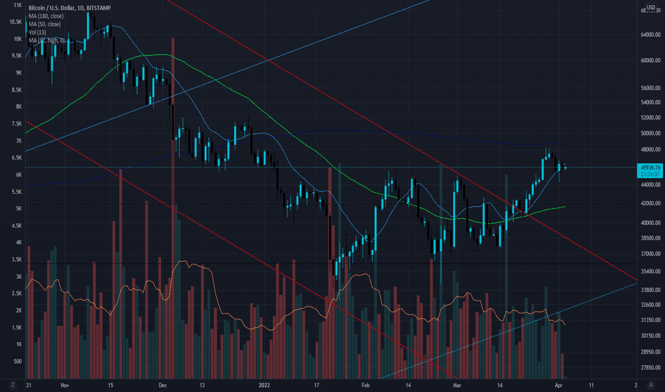 daily Chart