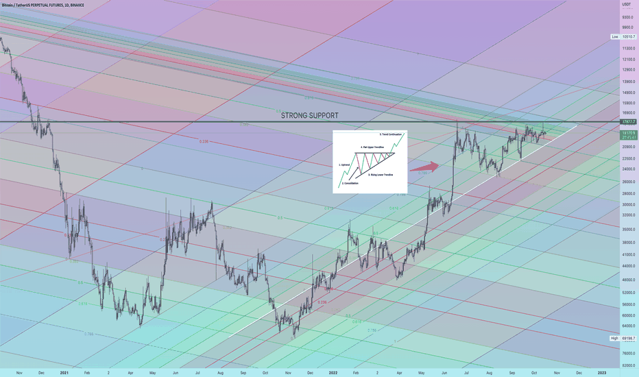 BTC Inverted chart