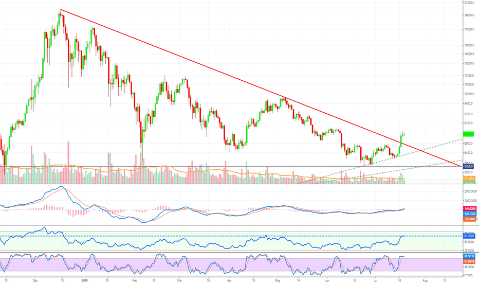 Bitcoin To The Moon Pt.6 (The End?!) - Altcoins Market Update
