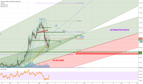 OMG Correction Wave B