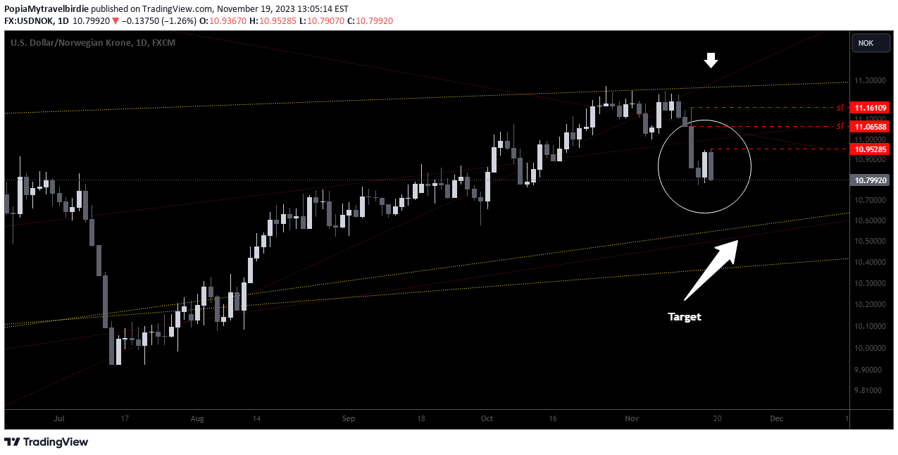 FX:USDNOK Idea Chart Image by PopiaMytravelbirdie
