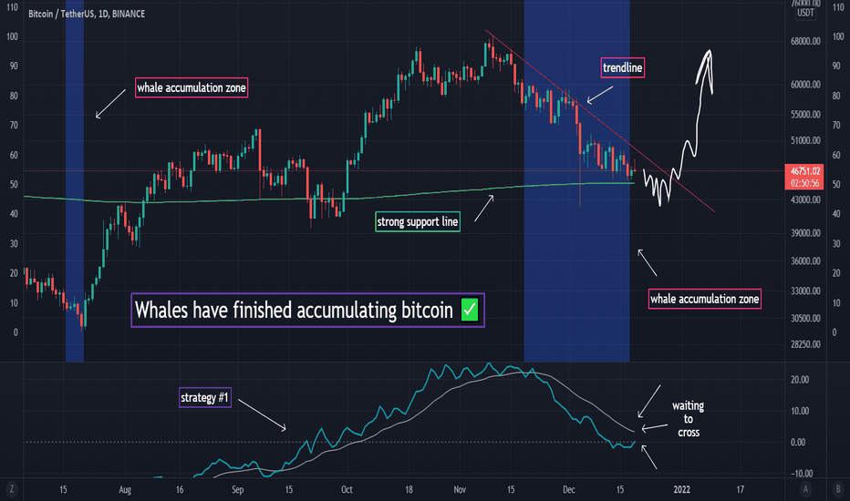 Whales have finished accumulating bitcoin ✅