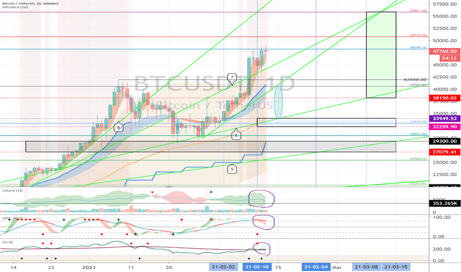 Bitcoin (BTC)-February 13 (USDT Dominance Check)