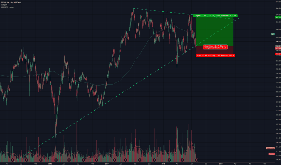 Tesla TSLA Long 25% Opportunity