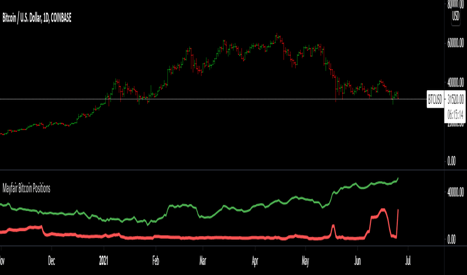 Mayfair Bitcoin Positions