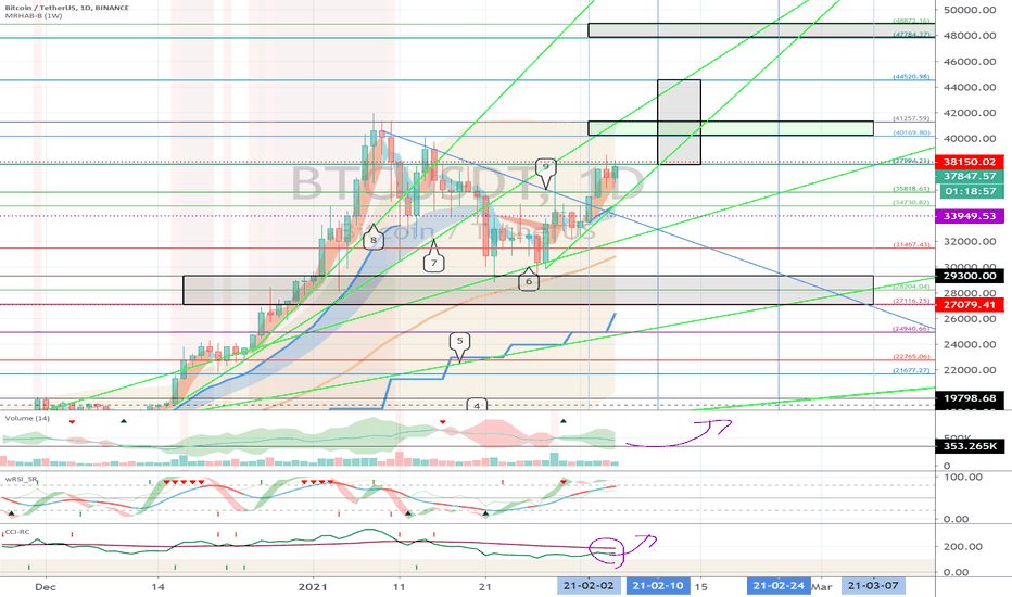 Bitcoin (BTC) - February 6