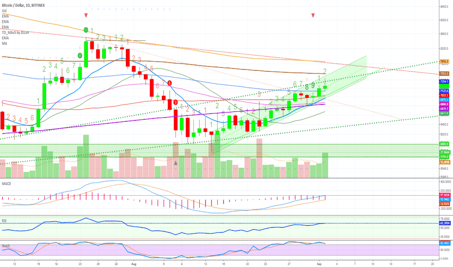 BITCOIN IS A BULL (All Targets Reached!) - $7850-$8000 Next!