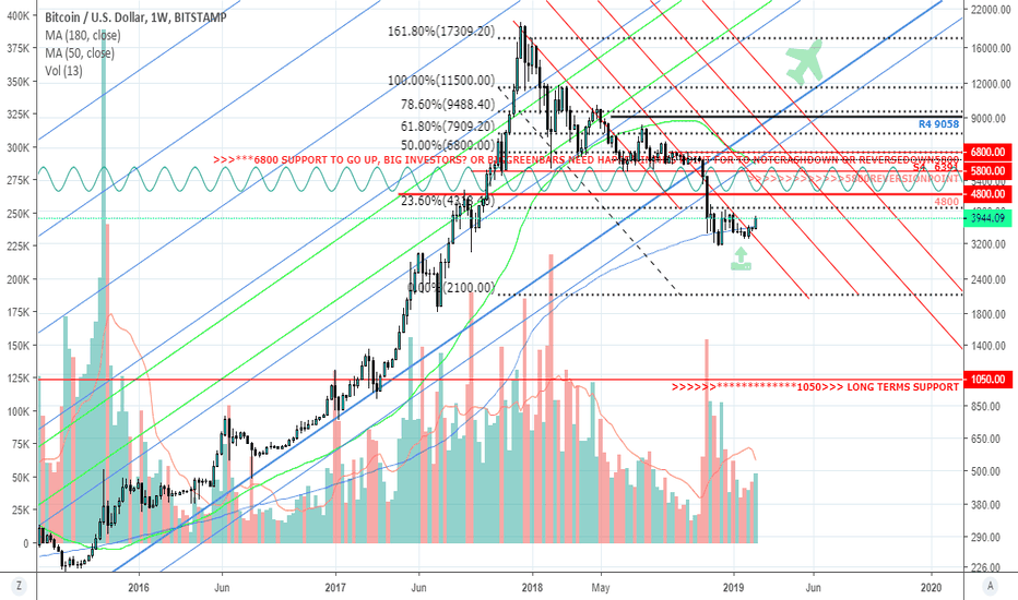 is the all trends to go up or down to correction