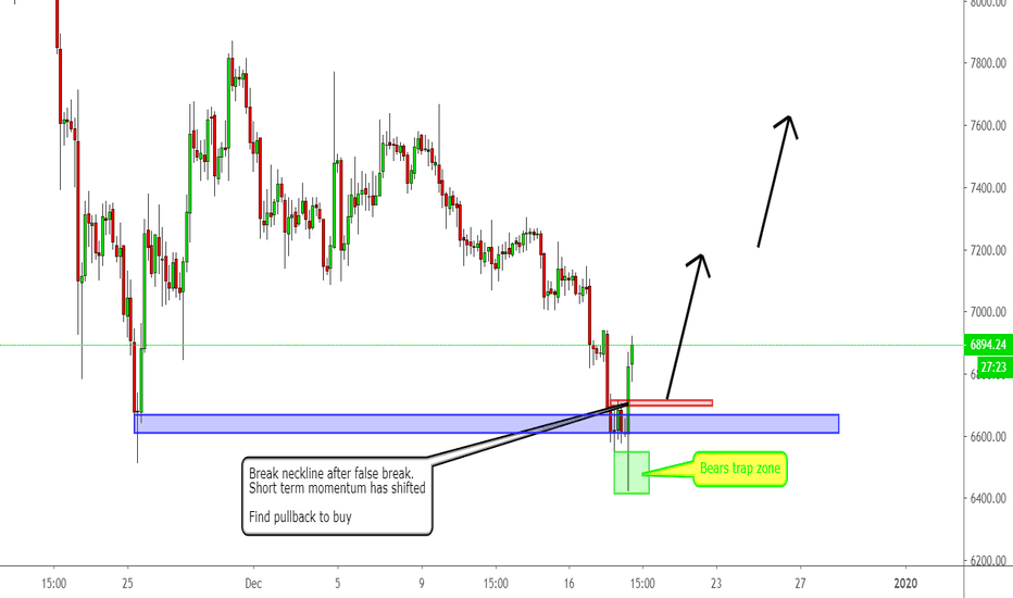 Bulls & bears got rekt | How to trade?