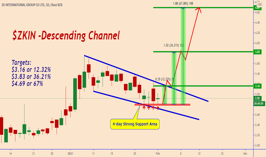 ZKIN: Is ZKIN Still a Good Stock?