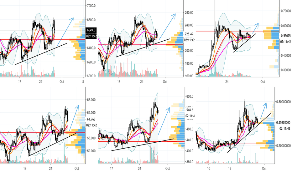 ALL MARKET ARE BOUNCE BACK FROM BOTTOM ? - xuanhaimmoer