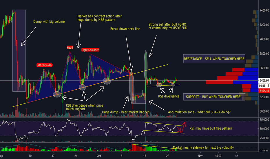 EXPLAIN ACTION OF BITCOIN -  RECOMMENDED STRATEGY