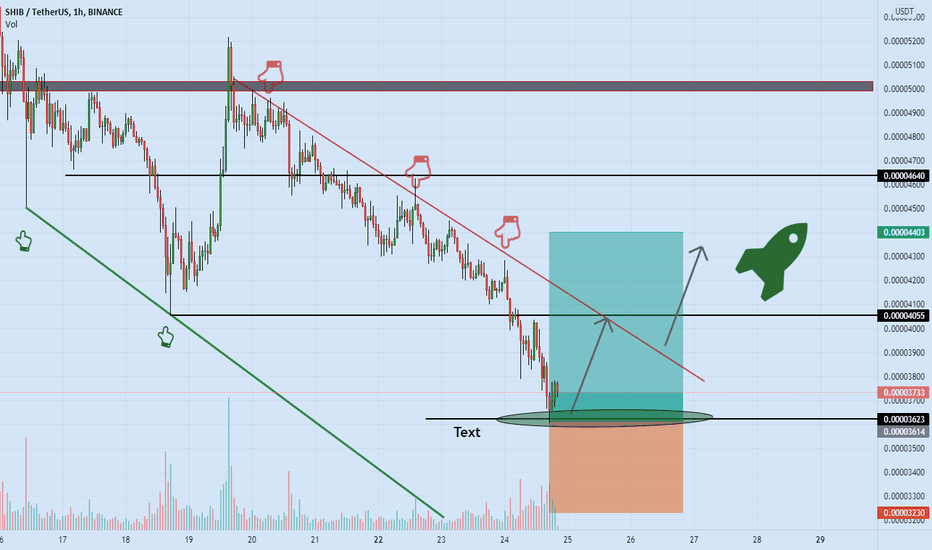 wonderful pump coming for SHIBA