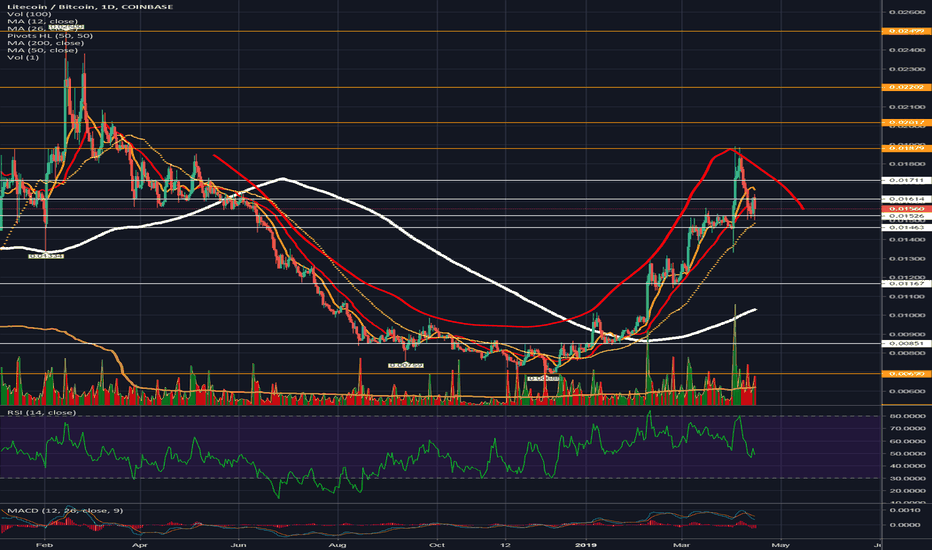 LTC In Depth: Will the Halving Cause LTC to Moon?