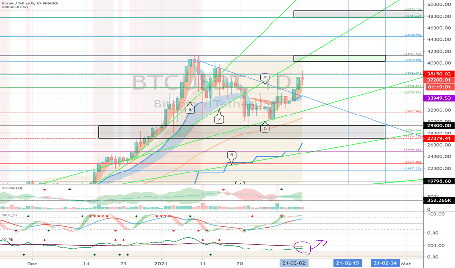 Bitcoin (BTC) - February 5