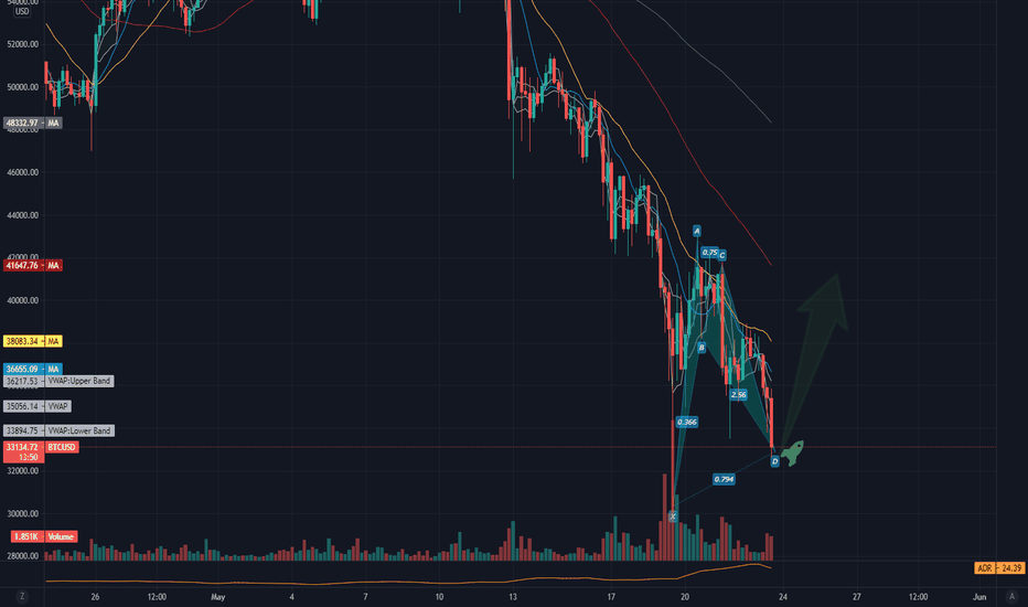 bounce $BTC 