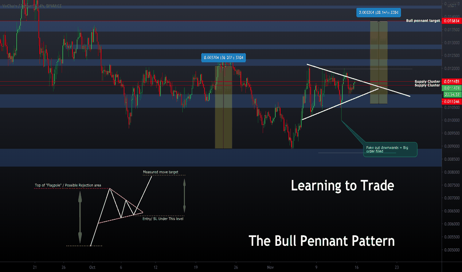 #Vechain : Great example of a Bull Pennant Pattern