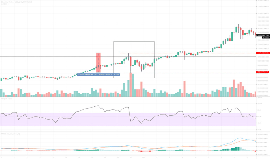 BTC Proj 2019 - LATE 2017. What happened near 11K