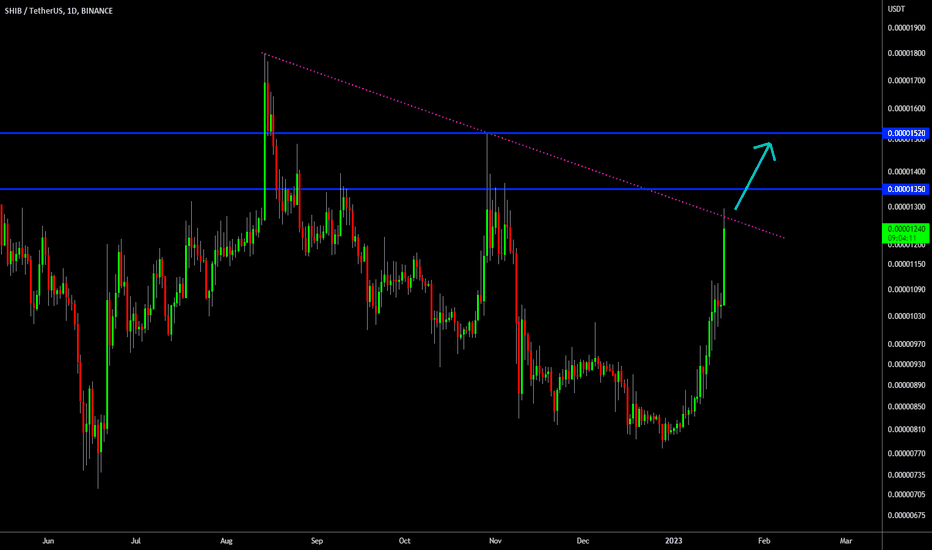 🔥 SHIB Massive Success: Waiting For Next Break Out