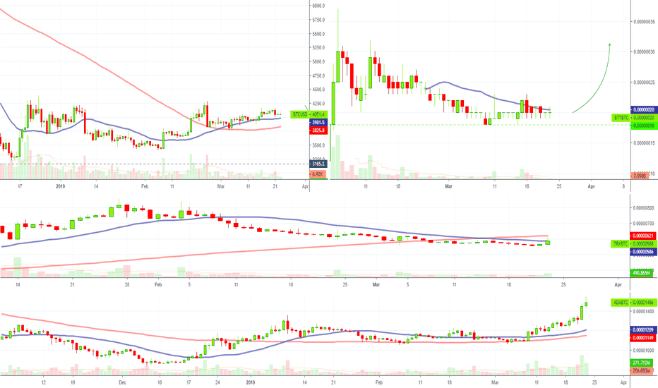 Top 5 Altcoins To Profit From In April 2019