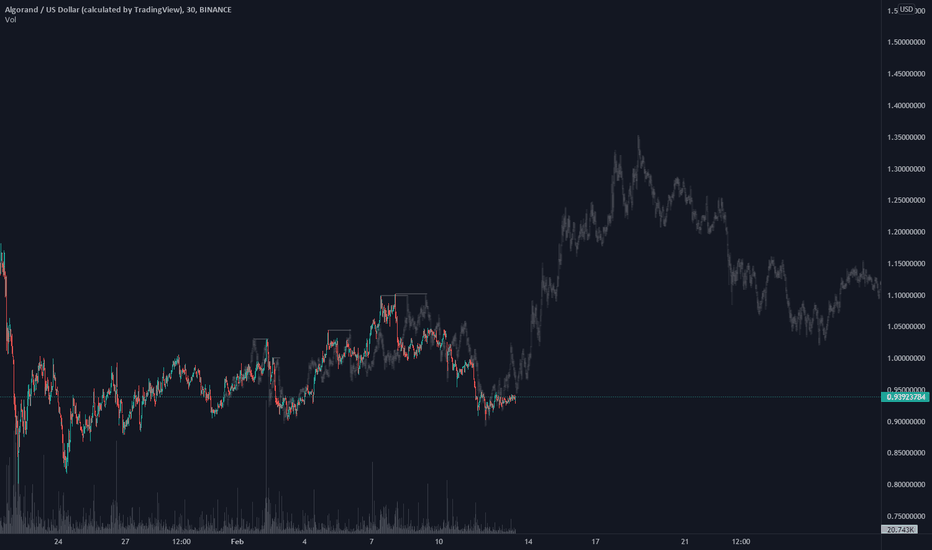 ALGO bull experiment revised