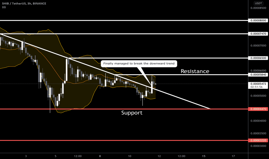 SHIBA - Price stability or decline?